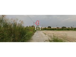 43458 - Land for sale, area 352.8 sq m, Tiwanon Road.