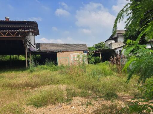 43465 - Land for sale, area 320 sq m, Setthakit Road 1, near Central Mahachai.