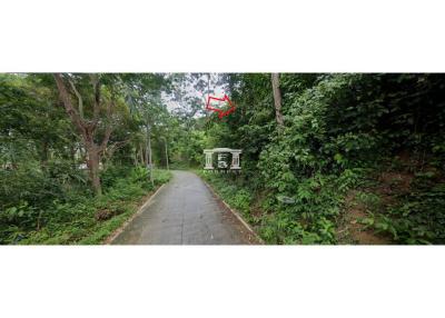 43476 - Land for sale, area 4 rai, Chao Fa Tawan Tok Road, Phuket.