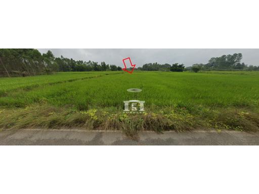 43480 - Land for sale, area 56-1-77 rai, Kabinburi-Chachoengsao.