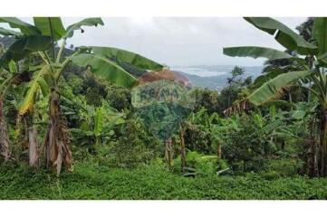 Sea View Land for Sale Developer Opportunity in Bophut