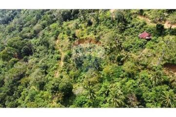 Sea View Land for Sale Developer Opportunity in Bophut