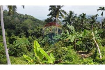 Sea View Land for Sale Developer Opportunity in Bophut