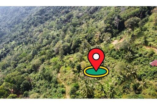 Sea View Land for Sale Developer Opportunity in Bophut