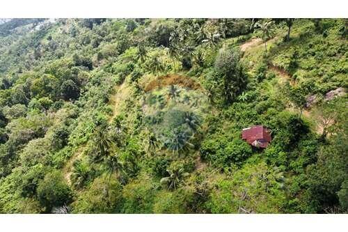 Sea View Land for Sale Developer Opportunity in Bophut