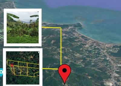 Sea View Land for Sale Developer Opportunity in Bophut