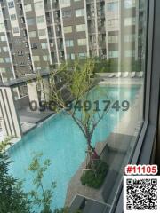 View of the swimming pool and apartment complex from the window