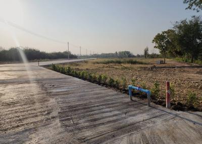 Empty plot of land with a concrete road leading to the horizon