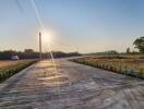 Sunlit paved road with surrounding greenery in a countryside setting