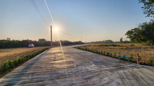 Sunlit paved road with surrounding greenery in a countryside setting