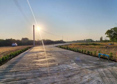 Sunlit paved road with surrounding greenery in a countryside setting