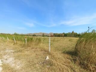 Spacious open land with natural scenery