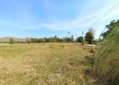Spacious open land with natural scenery and potential for development
