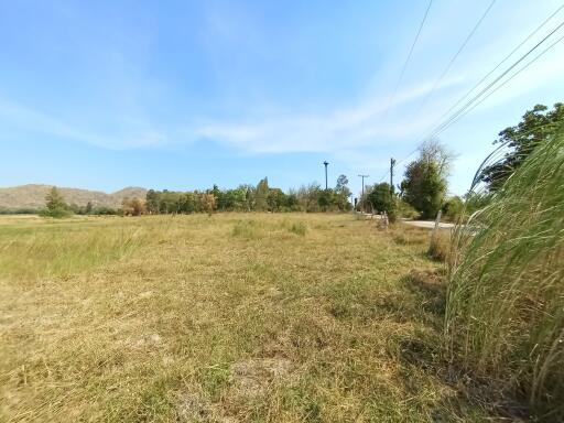 Spacious open land with natural scenery and potential for development