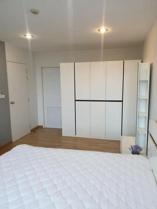 Modern and minimalist bedroom with a large white bed, built-in closets, and hardwood floors