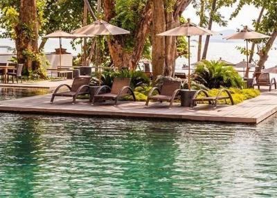 Luxurious resort-style poolside with sun loungers and tropical ambiance