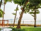 Lush greenery with ocean view from a residential outdoor area