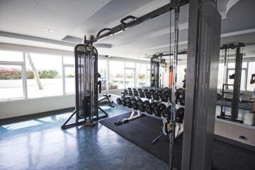 Home gym with exercise equipment and weights