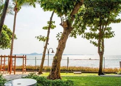 Seaside garden with trees and ocean view