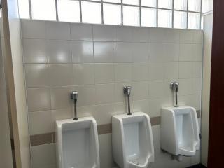 Public restroom with urinals