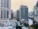 City skyline with multiple residential and commercial buildings