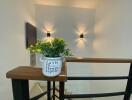 Cozy living space detail with decorative lighting and plant