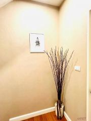 Brightly lit hallway interior with decorative twigs and framed art