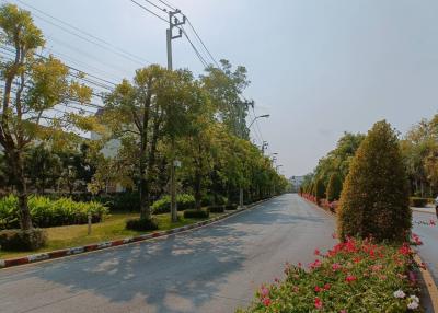 Paved street with trees and flowerbeds in a residential area under a clear sky