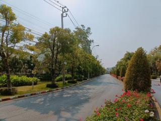 Paved street with trees and flowerbeds in a residential area under a clear sky