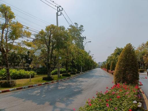 Paved street with trees and flowerbeds in a residential area under a clear sky