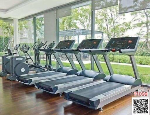 Home gym with treadmills and exercise bikes overlooking a garden