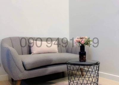 Modern living room with gray sofa and small coffee table