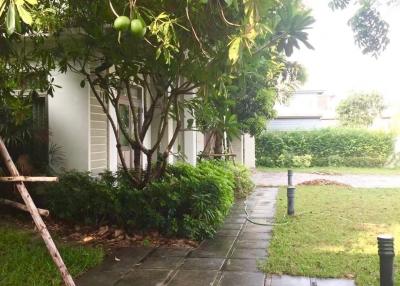 Lush greenery in front of residential home with pathway