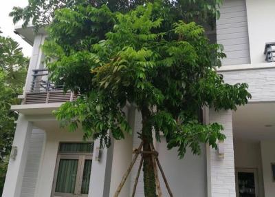 Modern two-story residential building with greenery