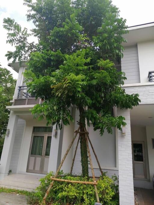 Modern two-story residential building with greenery