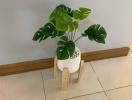 Modern plant in ceramic pot on wooden stand