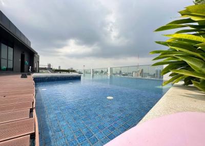 Rooftop swimming pool with wooden deck and city skyline view
