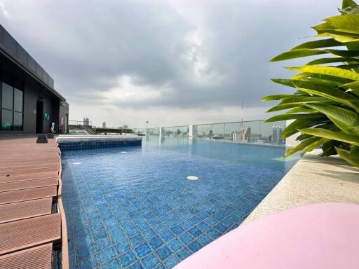 Rooftop swimming pool with wooden deck and city skyline view