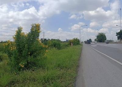 Roadside view with vegetation and clear sky