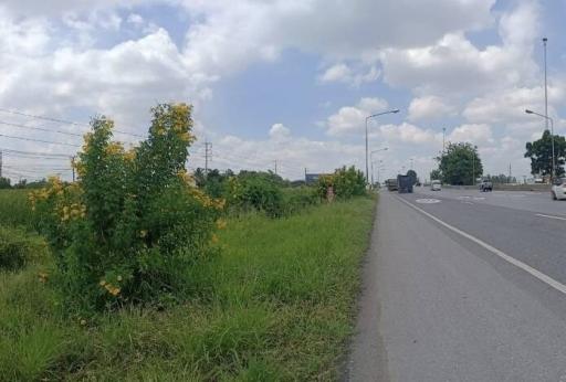 Roadside view with vegetation and clear sky