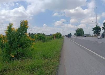 Roadside view with greenery and passing traffic near property