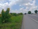 Roadside view with greenery and passing traffic near property