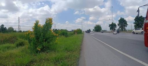 Roadside view with greenery and passing traffic near property