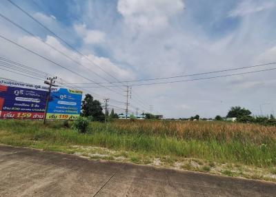 Vacant land with for-sale signs under a clear blue sky