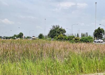 Empty land near a road with overgrown grass under a cloudy sky