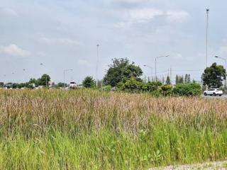 Empty land near a road with overgrown grass under a cloudy sky