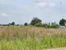 Empty land near a road with overgrown grass under a cloudy sky