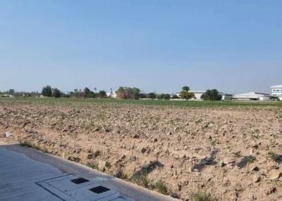 Expansive barren land with potential for development near a building complex