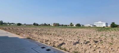 Expansive barren land with potential for development near a building complex