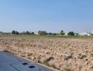 Expansive barren land with potential for development near a building complex